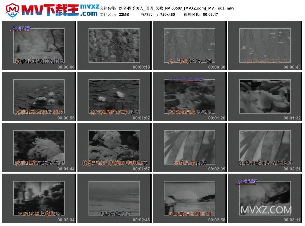 佚名-四季美人_国语_民歌_NAI00587